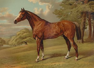 "Stilton A Hunter", 1879. tekijältä Aldfred Sheldon Williams