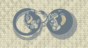 Tiivistelmä: Feline Infinity tekijältä Alejandra Winkhaus