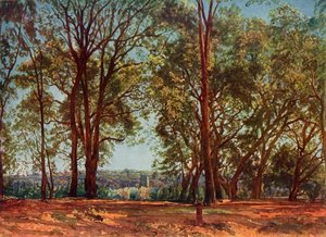 Aricci Parkissa, 1830-luku, 1965.