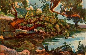 Nemijärvi, 1830-luku 1965.
