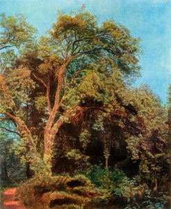 Puu puistossa, 1800-luvun puoliväli, 1965.