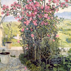 Laakso Umbriassa, 1910-luku. tekijältä Aleksandr Jakovlevic Golovin