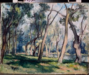 Lehto - Aleksanteri Vasilyevich Shevchenkon (Aleksandri Tševtšenko) (1883-1948) teos, öljy pahville