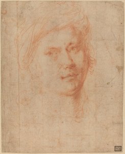 Nuorten johtaja tekijältä Alessandro Allori
