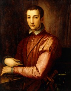 Muotokuva Francesco I d "Medicistä tekijältä Alessandro Allori