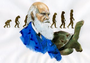 Charles Darwinin muotokuva - englantilaisen luonnontieteilijän Charles Darwinin (1809-1882) muotokuva.