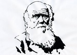 Charles Darwinin muotokuva - englantilaisen luonnontieteilijän Charles Darwinin (1809-1882) muotokuva. tekijältä Alessandro Lonati
