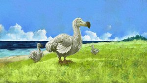 Esitys sukupuuttoon kuolevasta dodo-linnusta (kuva) tekijältä Alessandro Lonati