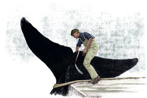 Valasvene leikkaamassa valaan häntää tekijältä Alessandro Lonati