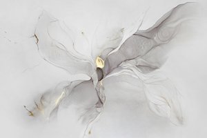 Fluid Gold -tiivistelmä tekijältä Alevtina Shelest