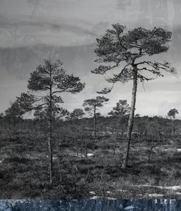 sininen maanalainen, 2019, (sekoitettu media) tekijältä Alex Caminker