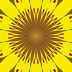 geometria, 2019, (digitaalinen) tekijältä Alex Caminker