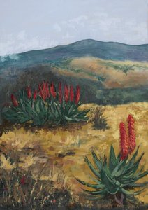 Red Aloes Desert Hills tekijältä Alex Cornell