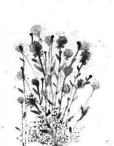 Abstrakti: Musteen kukkaloisto tekijältä Alex Walsh