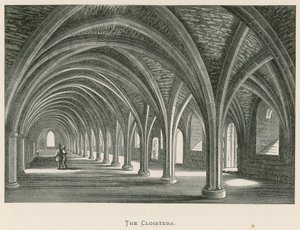 Fountains Abbey, The Cloisters tekijältä Alexander Francis Lydon