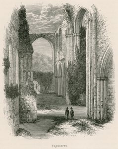 Furness Abbey, Transepts tekijältä Alexander Francis Lydon