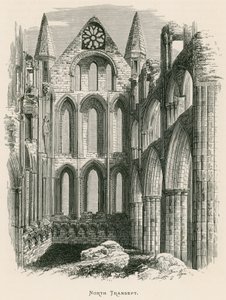 Whitby Abbey, North Transept tekijältä Alexander Francis Lydon