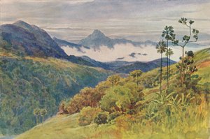 Morning Mists in the Valley of the Mahaweli Ganga, n. 1880 1905.