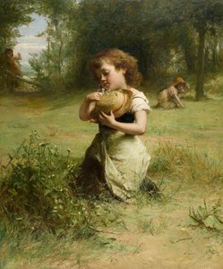 Wild Flowers, n. 1865-1875 (öljy kankaalle) tekijältä Alexander Hohenlohe Burr