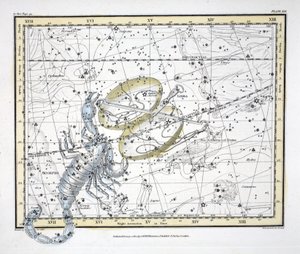 Tähtikuviot (levy XIX) Vaaka ja Skorpioni, Alexander Jamiesonin julkaisemasta "A Celestial Atlas", pub. Lontoo 1822 (käsin väritetty kaiverrus).