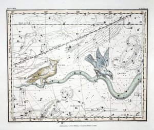 Constellations (levy XXVII) Hydra Continua, Crater, Covus, Centaurus et Lupus, Alexander Jamiesonin kirjasta "A Celestial Atlas", pubi. Lontoo 1822 (käsinvärinen kaiverrus) tekijältä Alexander Jamieson