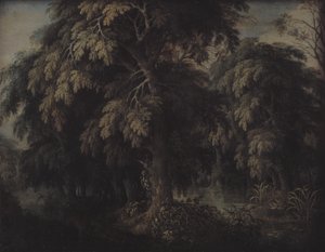 Metsäinen maisema