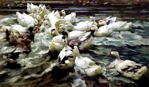 Ducks Gathering (öljy kankaalle)