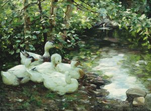 Viisi ankkaa joella, kivinen ranta; Funf Enten am Bach, Steiniges Ufer