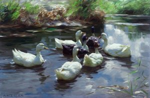 A. Koester, Enten am Teich