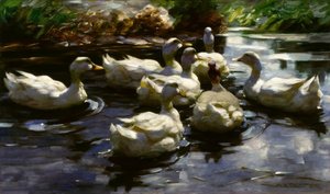 A. Koester, Enten im Teich