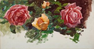 A. Koester, Rosenstudie