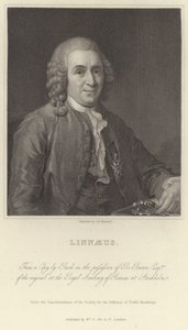 Linnaeus tekijältä Alexander Roslin