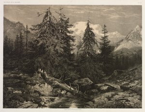 Alpine Stream tekijältä Alexandre Calame