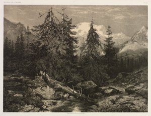 Alpine Stream. tekijältä Alexandre Calame