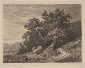 Vanhoja puita rinteellä tekijältä Alexandre Calame