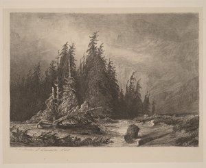 Vuoristomännyt tekijältä Alexandre Calame