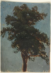 Tree Study, toinen kolmas 1800-luku.