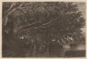 Puut lammen yläpuolella tekijältä Alexandre Calame