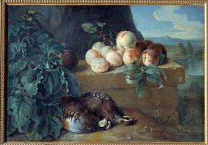 Persikat ja peltopyyt. Francois Desportesin (1661-1743) maalaus tekijältä Alexandre Francois Desportes