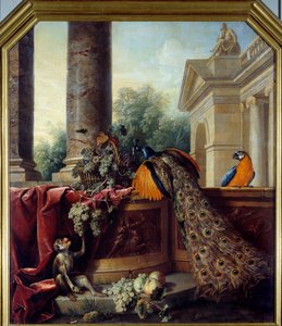 Asetelma riikinkukon kanssa Papukaija, apina ja viinirypäleterttuja. François Desportesin (1661-1743) maalaus 1700-luvun su. 2,05x1,8 m Lyon, Musee des Beaux Arts tekijältä Alexandre Francois Desportes
