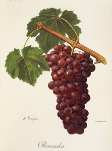 Raïm Romanka d