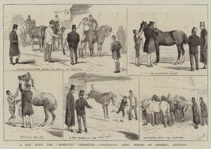 Päivä Remount-komitean kanssa, ostamassa armeijahevosia Redhillistä, Edgwaresta tekijältä Alfred Chantrey Corbould