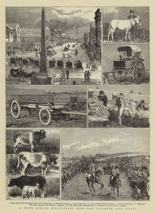 Etelä-Afrikan maatalousnäyttely, Port Elizabeth, Cape Colony