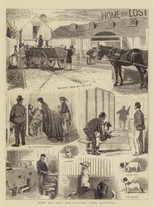 Kadonneiden ja nälkäisten koirien koti, Battersea tekijältä Alfred Chantrey Corbould
