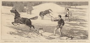 Luonnoksia British Columbiasta, murtamalla nuoria hevosia rekivaljaisiin tekijältä Alfred Chantrey Corbould