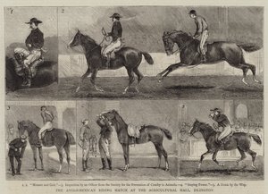 Anglo-meksikolainen ratsastusottelu Islingtonin maataloushallissa tekijältä Alfred Chantrey Corbould