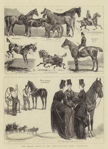 Hevosnäyttely Agricultural Hallissa, Islingtonissa