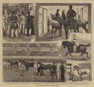 Metropolitan Horse-Show tekijältä Alfred Chantrey Corbould