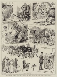 Shire Horse Society Show Agricultural Hallissa, Islingtonissa tekijältä Alfred Chantrey Corbould