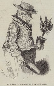 Puutarhatalouden liikemies tekijältä Alfred Crowquill